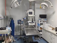 -A猫a狗全科·犬猫异宠·芥西宠物医院(南开总院)