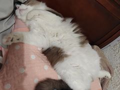 -蓬莱欧乐堡梦幻世界