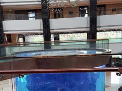 -OPEN開全日自助餐厅·牛肉火锅·海鲜(佛山希尔顿酒店)