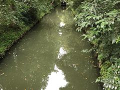 -同里国家湿地公园