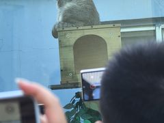 -青藏高原野生动物园