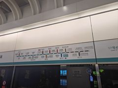 -望京西(地铁站)