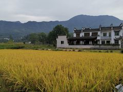 -塔川景区
