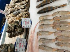 -宝轩渔府·老字号海鲜·正宗津菜(水上店)