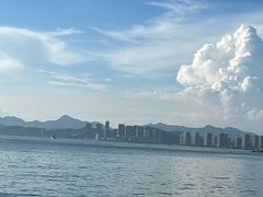 -广东惠东海龟国家级自然保护区
