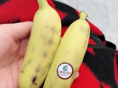 -米兰马尔彭萨国际机场