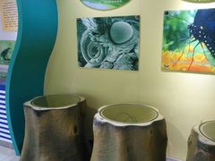 -上海昆虫博物馆