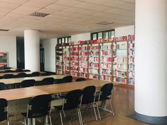 -南开大学滨海学院