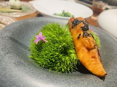 -觀芷隐轩