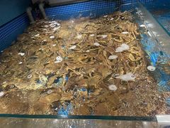 -东海怡品海鲜豆捞(星街坊店)