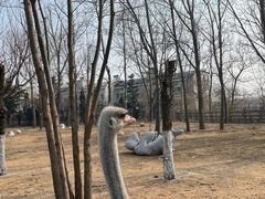 -大连森林动物园