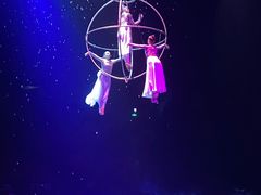 -广州长隆国际大马戏