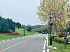 -棒棰岛宾馆景区