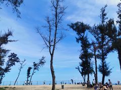 -西涌国际滨海旅游区