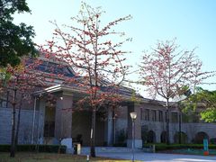 -平安（深圳）金融教育培训中心