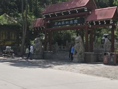 -原山国家森林公园