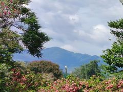 -中国科学院西双版纳热带植物园