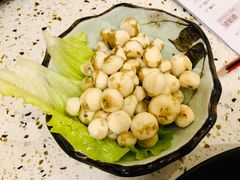 -椰子营·椰子鸡火锅(万象里店)