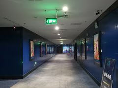 -农垦博纳国际影城(津奥广场IMAX店)