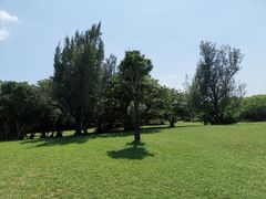 -鹅銮鼻公园