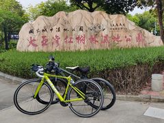 -大亚湾红树林城市湿地公园