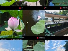 -荔湾湖公园