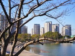 -新江湾城公园