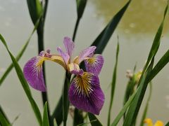 -北京植物园-展览温室