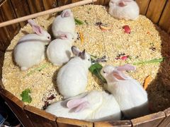 -正佳雨林生态植物园