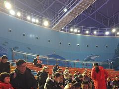 -烟台海昌鲸鲨海洋公园