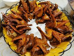 -百利鸽王(紫薇路店)