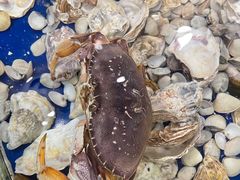 -江海酒家(赤岗店)