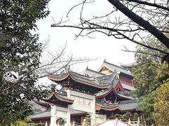 -鸡鸣赐茶(鸡鸣寺路店)