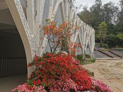 -梧桐山风景名胜区