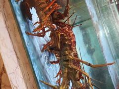 -旺顺阁海鲜广场(亚运村店)