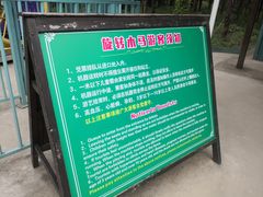 -东平国家森林公园