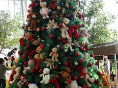 android_upload_pic-济州岛泰迪熊博物馆