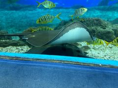 -福州罗源湾海洋世界旅游区