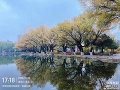 -青城公园