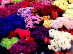 iphone_upload_pic-双季花艺园艺市场(浦东店)