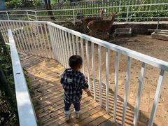 -丽泽山庄·生态怀柔菜·虹鳟鱼(红螺寺店)