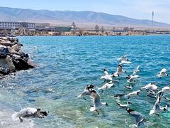 -青海湖国家重点风景名胜区