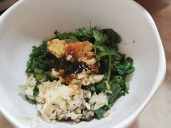 -蘑统田下·野生菌火锅
