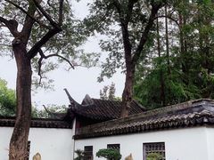 -上海醉白池公园