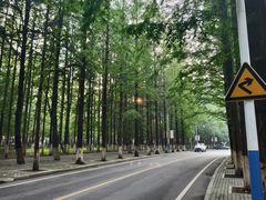 -大连理工大学(凌水校区)