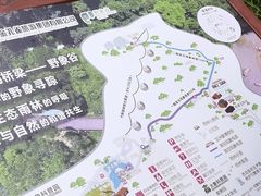 -野象谷景区