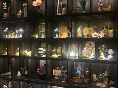-雪灵魔法世界SHELLY’S TAROT(大良桂畔里店)