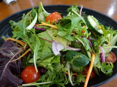 -12 Rocks Beach Bar Cafe