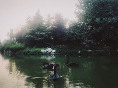 -芭东小镇温泉
