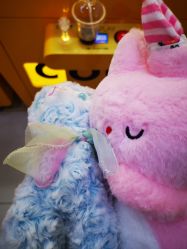 -宝燕乐园(闵行旗舰店)